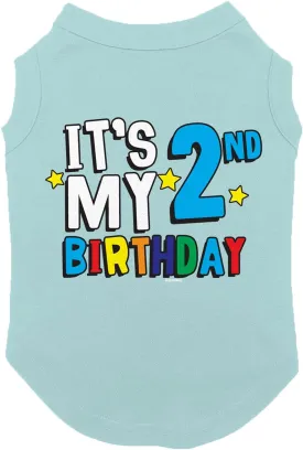 It's My 2nd Birthday - Second Dog Shirt (Chill, 3X-Large)