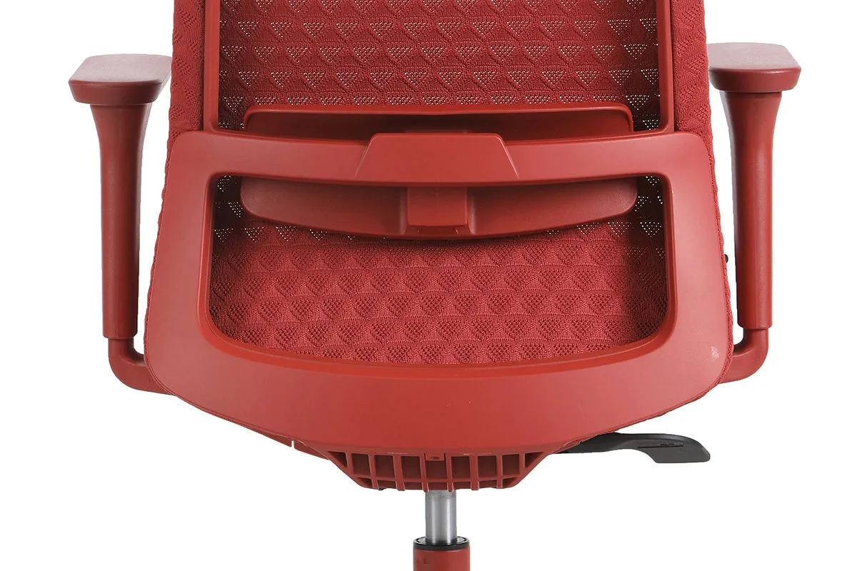 Kingfisher Ergonomic Mesh Chair
